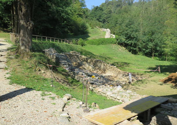 Scavo archeologico Torba 2017 bue longobardo