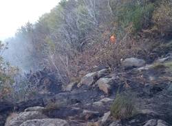 Incendio di Bassano ,al via la bonifica