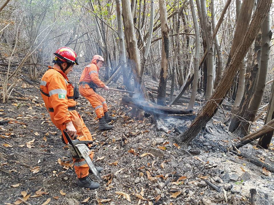 Incendio Campo dei Fiori - Bonifica