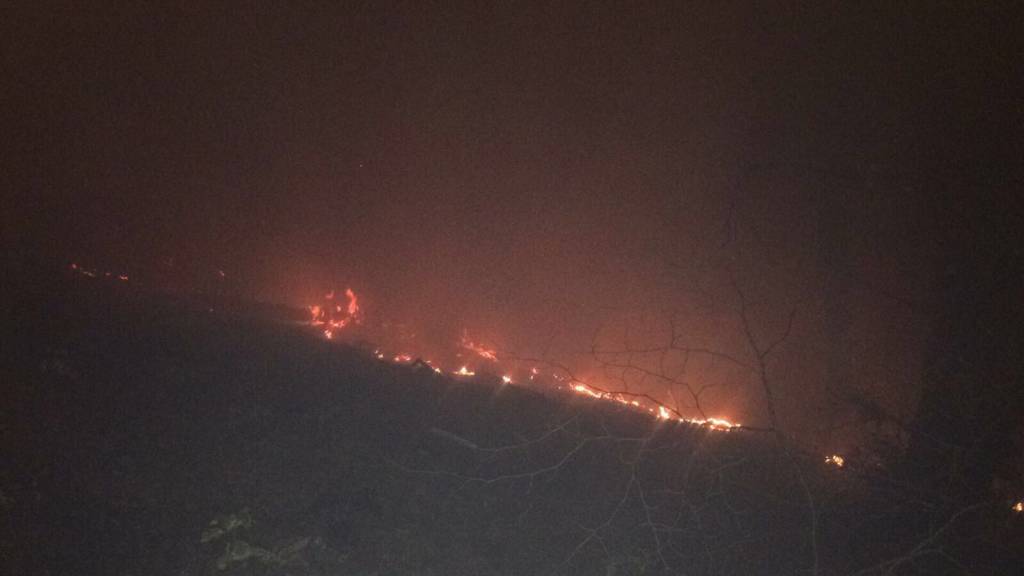 Incendio Campo dei Fiori notte domenica