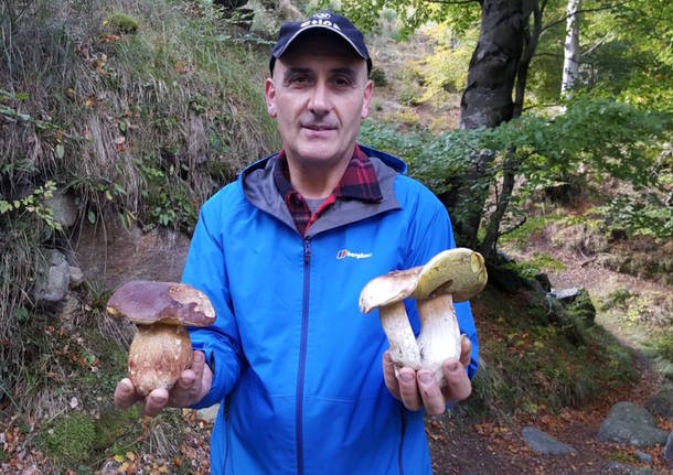 Porcini a Santa Maria