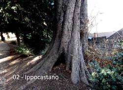 Alla scoperta dei giardini di Villa Mirabello