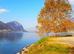 Autunno in Valceresio - foto di Clara Comolli