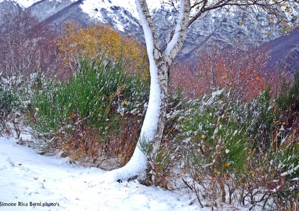 La prima nevicata nel Luinese