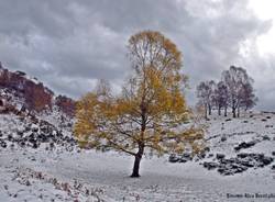 La prima nevicata nel Luinese