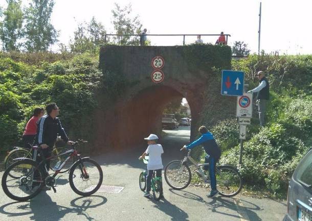 Abbattimento ponticelli, arrivano i cartelli. Silenzio dal Comune