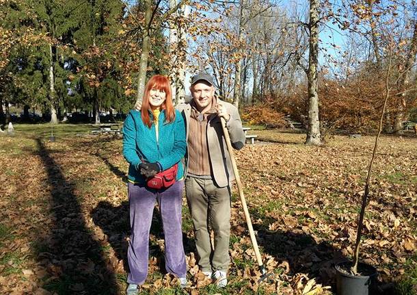 Nuovi alberi alla Schiranna: giardinieri i militanti del Movimento 5 Stelle