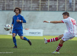 varese pavia calcio 