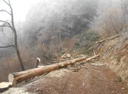 lavori parco dei fiori post incendio 