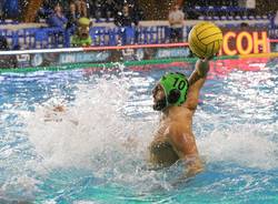 bpm sport management stefano luongo