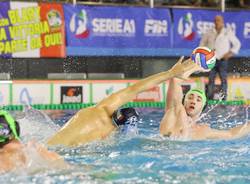 pallanuoto