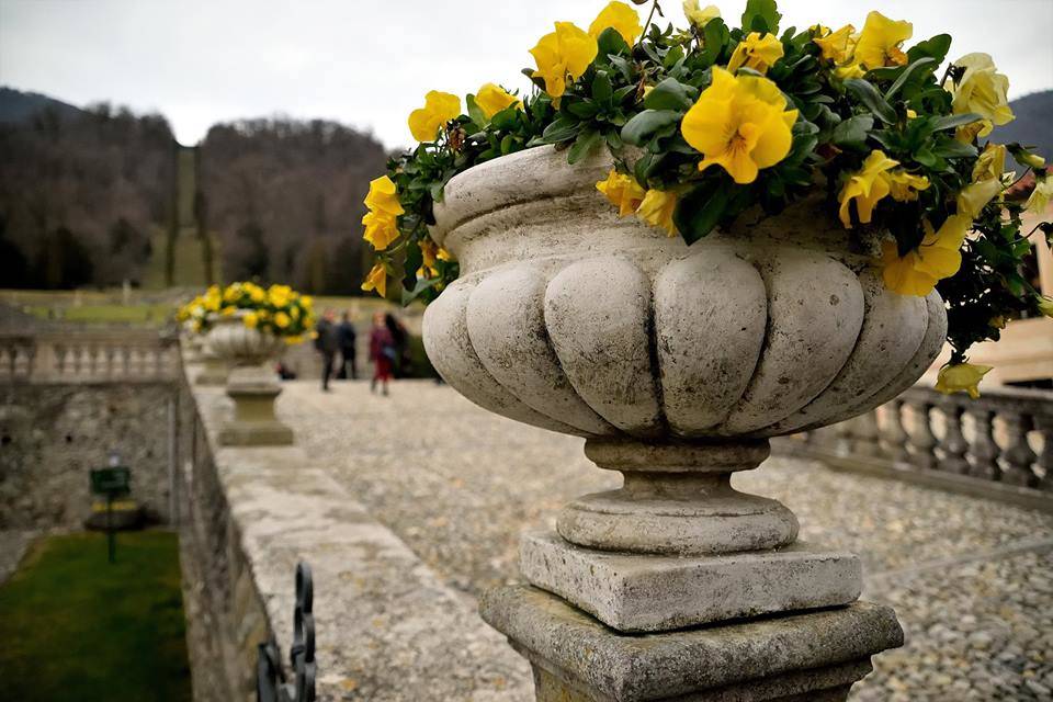 Giornate Fai di Primavera 