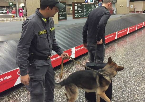 sequestro sigarette di contrabbando a Malpensa