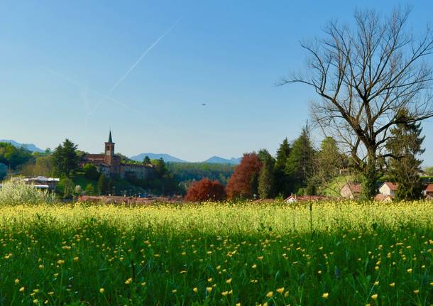 Primavera a  Castiglione Olona