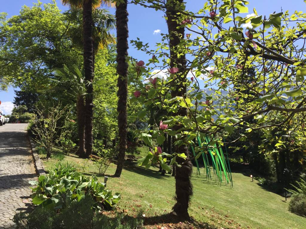 Giardini in arte al Monte Verità ascona