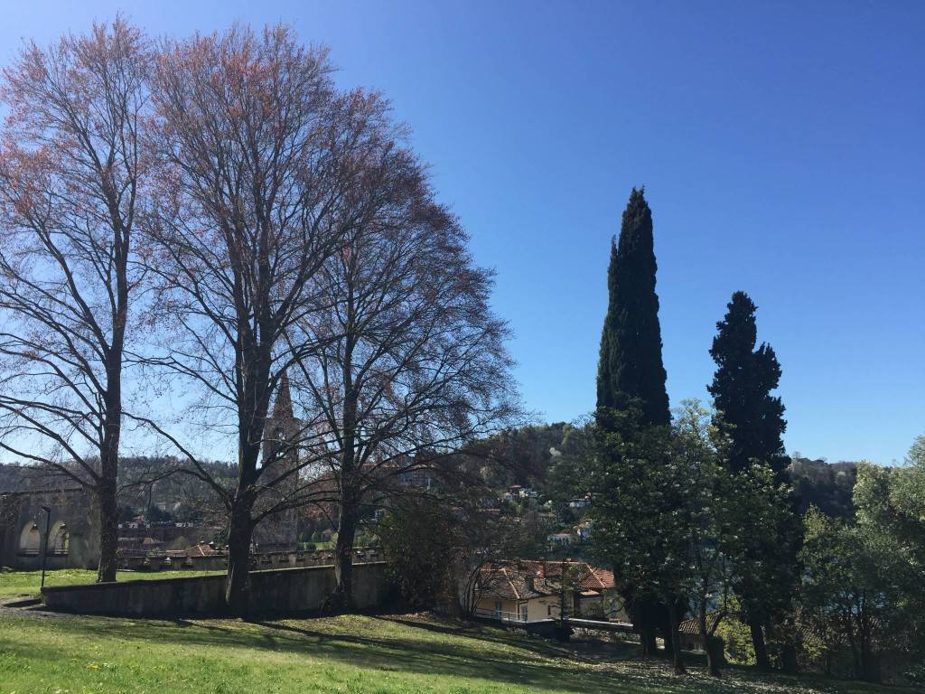 La biblioteca di Laveno Mombello 