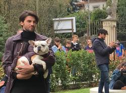 Pet fashion alla Varese design week