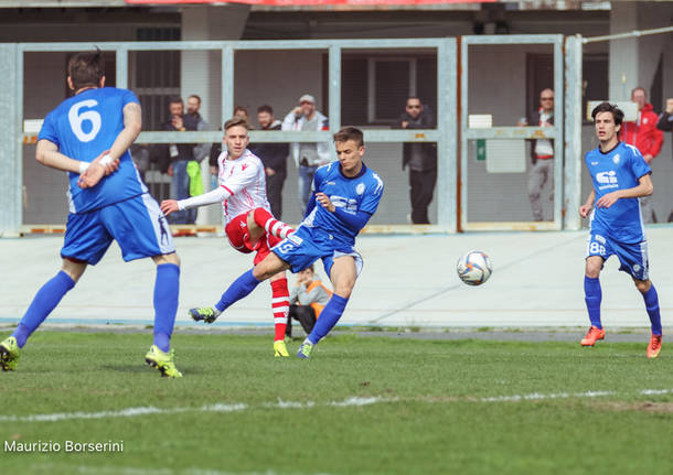 varese folgore caratese