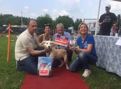 La festa di ringraziamento la canile di Varese