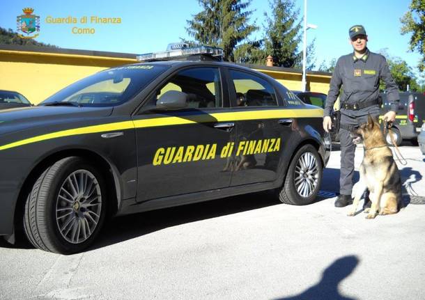 guardia di finanza cane antidroga