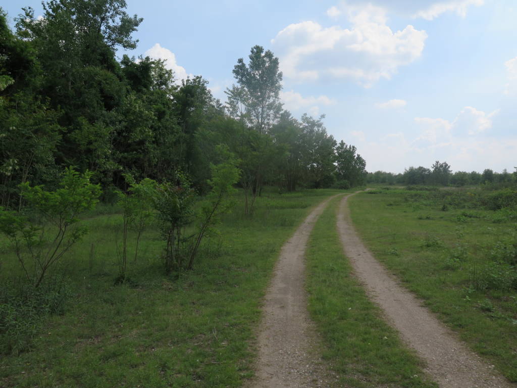 Il Campo della Promessa