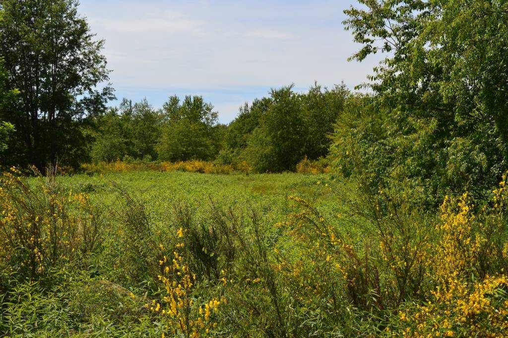 Il Campo della Promessa