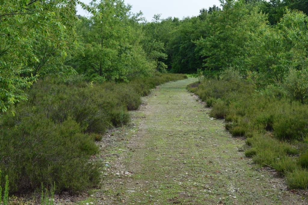 Il Campo della Promessa