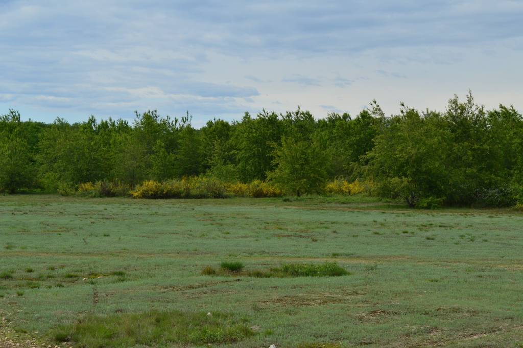 Il Campo della Promessa