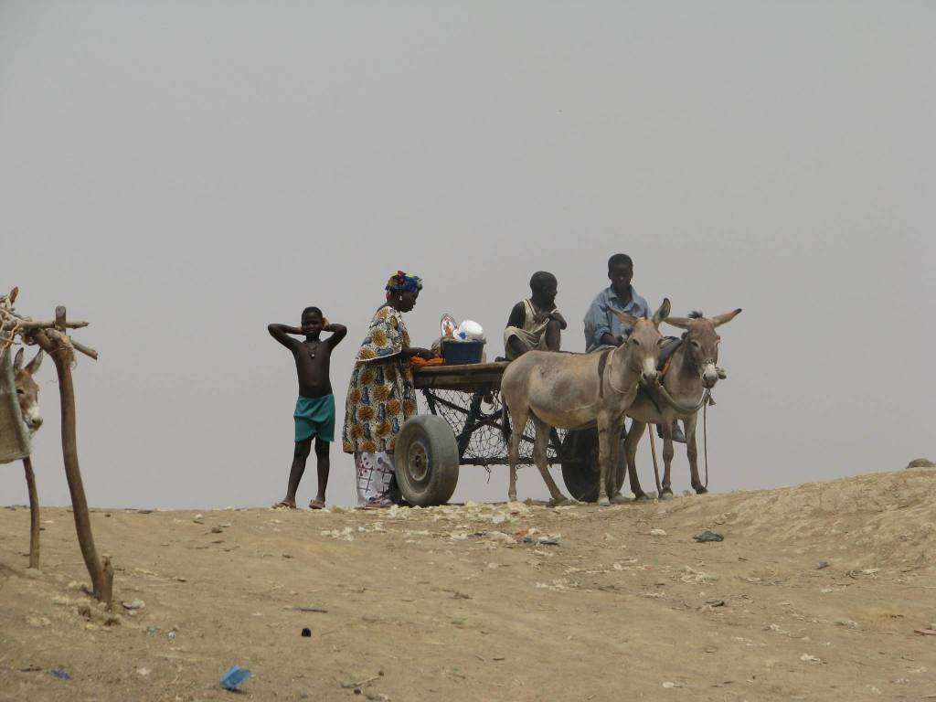 In viaggio col mercante: Mali, #1