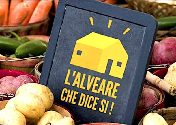 l'alveare che dice sì