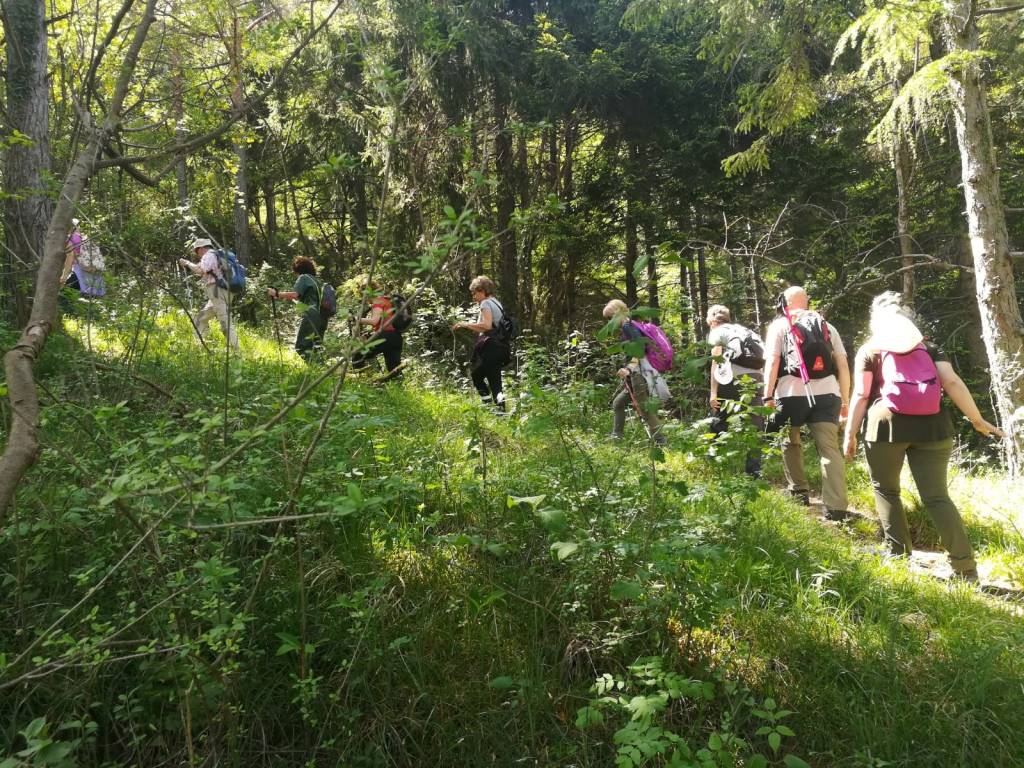 Sulle antiche vie per il sacro Monte