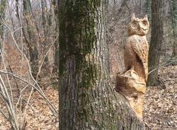 Le sculture del bosco incantato