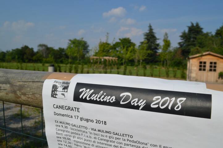 Mulino Day 2018  31 