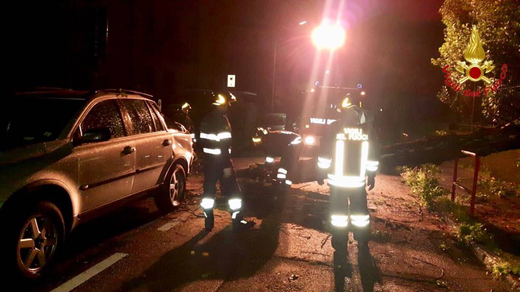 Alberto caduto per maltempo a Varese, in via  Frattini