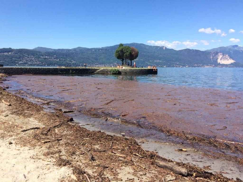 spiaggia cerro di laveno