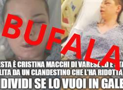 bufala