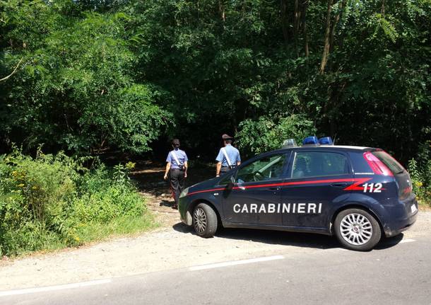 Spacciatori accerchiati nel bosco di Appiano, due arresti - SaronnoNews
