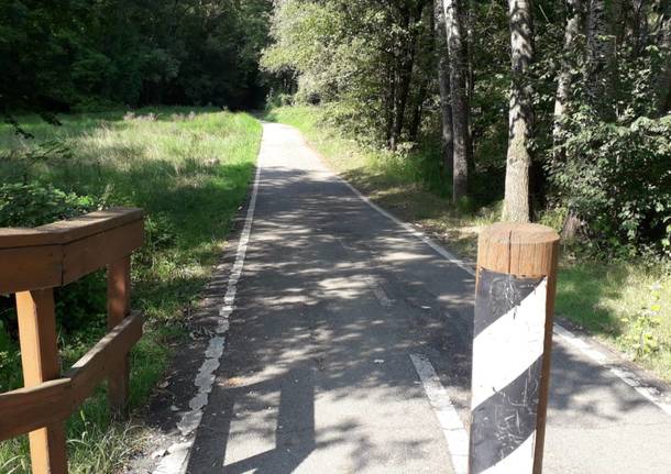 Pulizia delle piante sulla ciclabile, Varese c'è