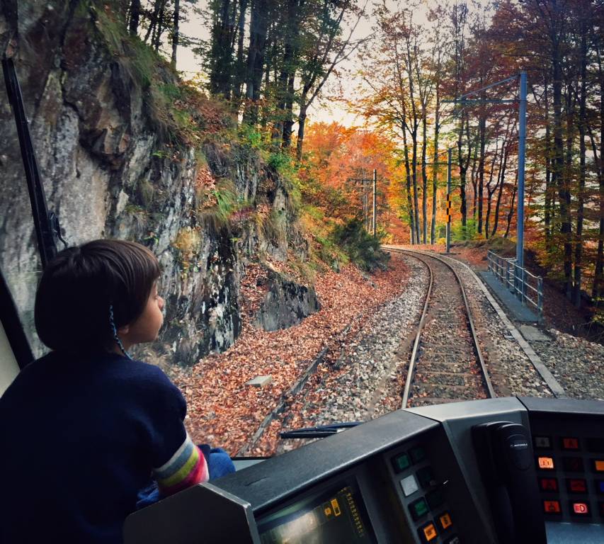 La Vigezzina in autunno e il "Treno del foliage"