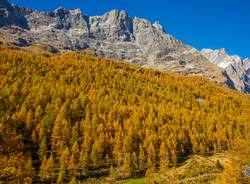 Il foliage autunnale sulle nostre Alp