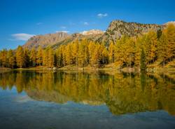 Il foliage autunnale sulle nostre Alp