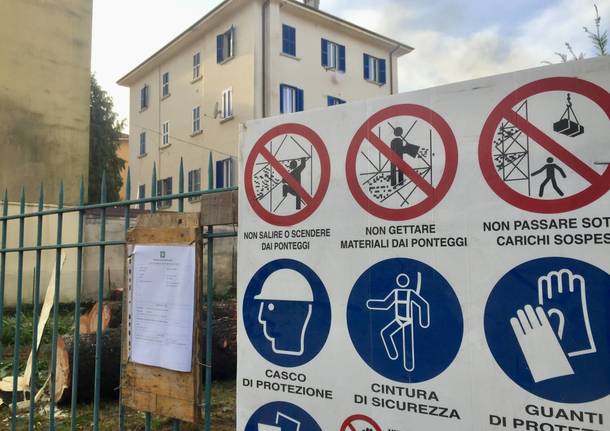 Cominciano dal taglio piante i lavori del parcheggio Del Ponte