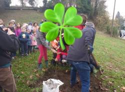 Festa degli alberi a Cazzago Brabbia