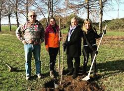 festa degli alberi busto arsizio 2018