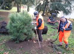 Festa dell'albero, si pianta a villa Baragiola