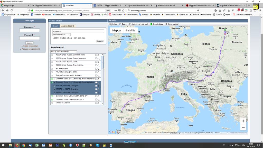 Gru migrazione nord italia