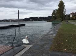 Il lago dopo la pioggia ad Angera e Ranco