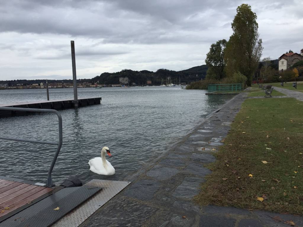 Il lago dopo la pioggia ad Angera e Ranco