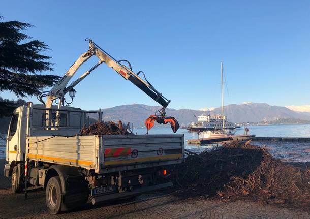 Laveno Mombello, rimozione rami e spazzatura 