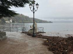 Pulizia del lago Maggiore a Laveno Mombello 